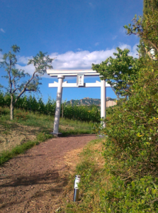 Nuovo Torii